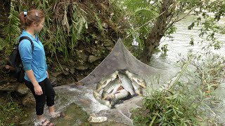 Fishing Videos - Survival Bushcraft Build Fish Traps Catch Big Fish - Survival Skills