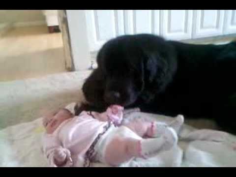 newfie and baby