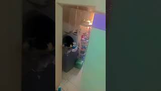 Fadinhas De Plantão Me Ajudem A Aprender A Voar