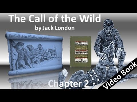 Chapter 02 - The Call of the Wild by Jack London