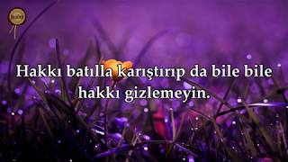 Bakara Suresi Ner Al Qatami Sesiyle...
