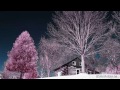 Cabin On The Hill - Pink Tree