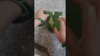 Short Video
