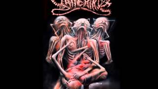 Watch Yattering Unnormally Zone video