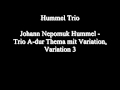 Johann Nepomuk Hummel - Trio A-dur Thema mit Variation, Variation 3