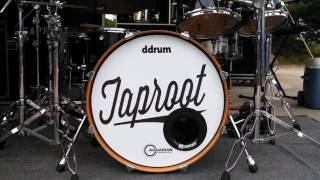 Watch Taproot Stolage video