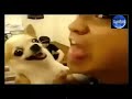 image Lucu Bikin Ngakak Terus Sampai Perut Kaku