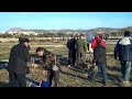 Concurso Canto Jilguero Novell y Verdecillo adulto