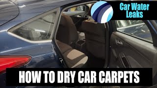 How To Dry Carpets In A Wet Car