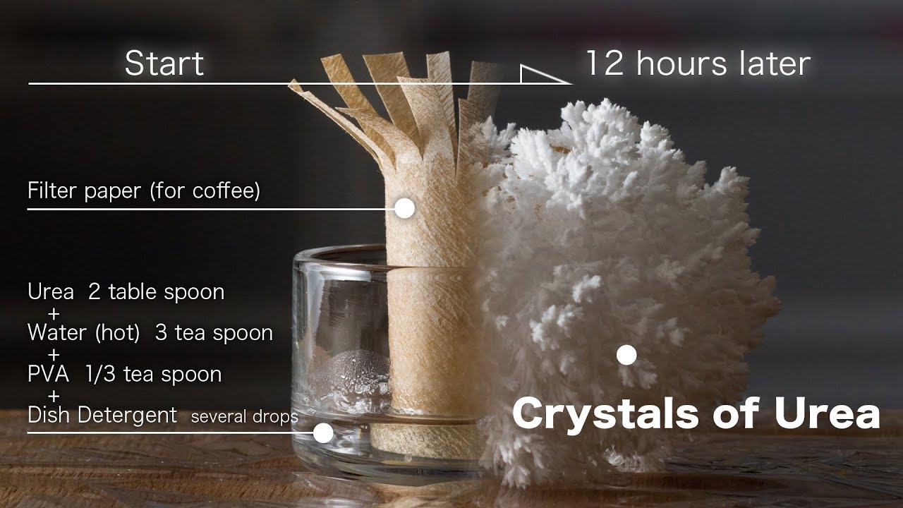 grow up Crystals of Urea(Carbamide) time lapse video and photo YouTube