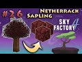 Part 26 Netherrack Sapling Minecraft Sky Factory 4