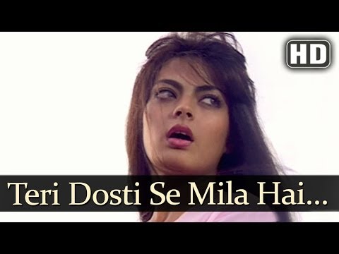 Teri Dosti Se Mila (HD) - Pyaar Ka Saaya Songs - Rahul Roy -...
