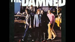 Watch Damned Love Song video