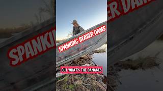 We Absolutely Spanked This Beaver Dam