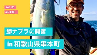 鰤ナブラに興奮‼️