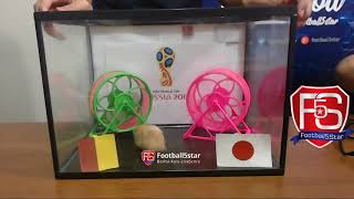 Prediksi Belgia vs Jepang bersama PO si Hamster