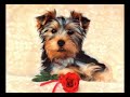Your love mom! - Mother's Day ecards - Events Greeting Cards Your love mom! - Mother's Day ecards - Events Greeting Cards