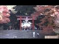 霧島神宮の紅葉 / 鹿児島県霧島市 / Kirishima Shrine Foliage