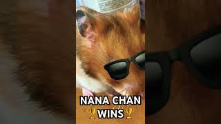 Nana Chan Vs Pochi Science Battle
