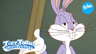 Tiny Toons Looniversidad Lo Mejor De Los Profesores Boing