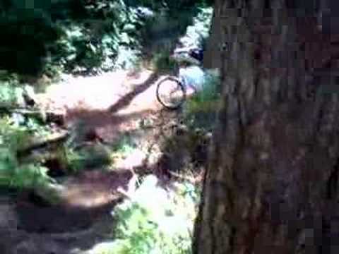 funny motorbike accidents. Bike Crash Into Tree