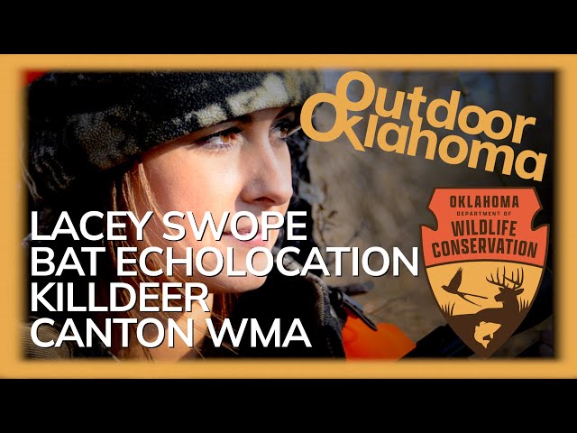 Watch Outdoor Oklahoma 4750 (Lacey Swope, Bat Echolocation, Killdeer, Canton WMA) on YouTube.