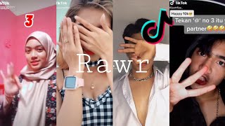 3 2 1 Rawr Its Me You You &Me Rawr Tik Tok Remix Tik Tok Compilation Trend