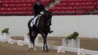 Heide 7yr FEI test 01.07.17