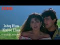 Ishq Hua Kaise Hua (Karaoke)|ISHQ| Udit Narayan, Vibha Sharma