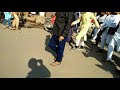 Mufti zahid Mufti ayaz Haji shafiq malhupure se hazaron logon ko Lekar fakkarshah chowk jate hue