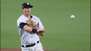 Mlb D.j Lemahieu Best Plays