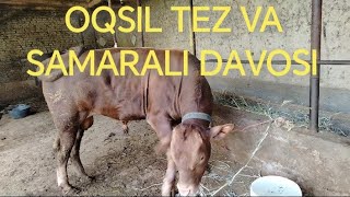 Yashur Kasaligini Tez Va Oson Davolash. Ertaroq Bilganimda Buncha Ziyon Kormas Edim