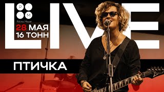 Птичка. Live Выступление С Концерта 28 Мая В 16 Тонн