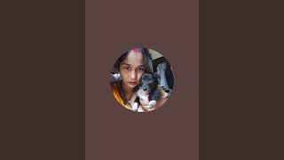 Lifestyle Vlog