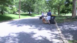 N.y.region Portraits Redrawn The Bailey Family - Nytimesvideo