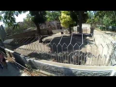 УЖАСЫ ОДЕССКОГО ЗООПАРКА