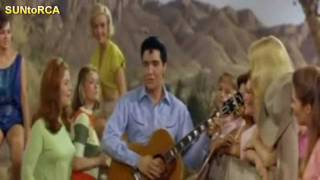 Watch Elvis Presley Night Rider video