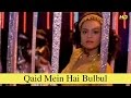 Qaid Mein Hai Bulbul | Full Song | Juari | Armaan Kohli, Shilpa Shirodkar | Full HD