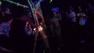Der traurige Gärtner - Ananas Live