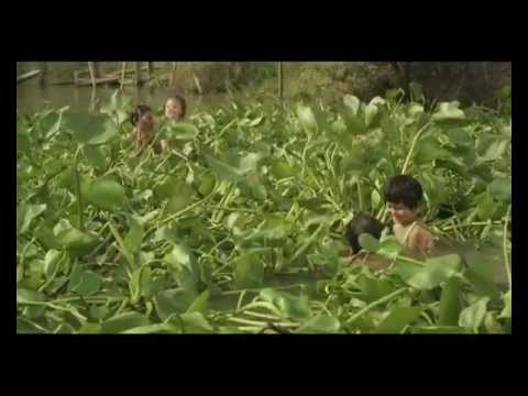เด็กสาว : Bloom (Dek Sao) Trailer 2012 Movie - Official