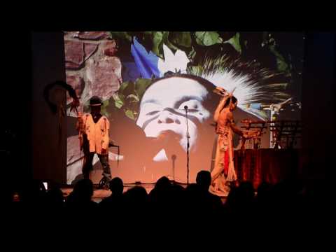 Waterfall Video