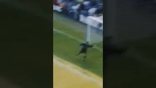 gfDuD6cqFJM Video Image