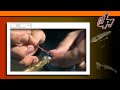 Video de Robalo dicas - jumping jig e jig head camarao