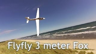 Flyfly Fox, Dsing The Dunes.