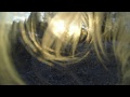 Jack - The Dog [Time-lapse]