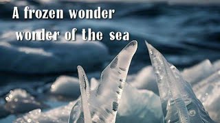 The Mysterious Brinicle Natures Underw