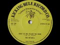Sam Mitchell - Baby Let Me Follow You Down