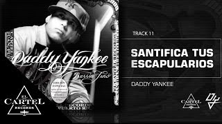 Watch Daddy Yankee Santifica Tus Escapularios video