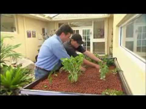 Garden Gurus Guide To Aquaponics Wa