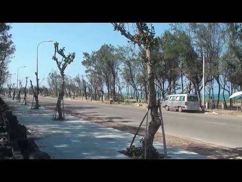 Phú Yên thu hồi 55ha đất "vàng" ven biển của 6 nhà đầu tư về du lịch